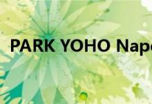  PARK YOHO Napoli周六收票 设大手优先 