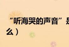 “听海哭的声音”是什么歌（歌名及歌词是什么）