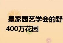  皇家园艺学会的野生花园可以帮助改造英国2400万花园 