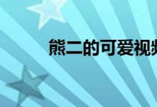 熊二的可爱视频（小额贷款app）