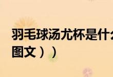 羽毛球汤尤杯是什么（羽毛球汤尤杯是什么（图文））