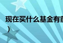 现在买什么基金有前景（现在买什么基金最好）