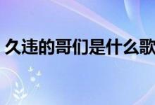 久违的哥们是什么歌（久违的哥们完整歌词）