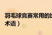羽毛球竞赛常用的比赛方法（羽毛球竞赛常用术语）