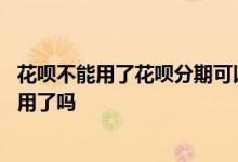 花呗不能用了花呗分期可以用吗 蚂蚁花呗分期以后就不可以用了吗