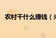 农村干什么赚钱（未来农村十大暴利行业）