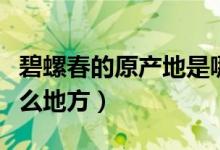 碧螺春的原产地是哪个地方（碧螺春产地在什么地方）