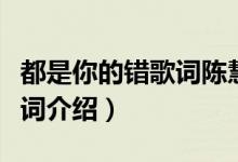 都是你的错歌词陈慧琳郑中基（都是你的错歌词介绍）