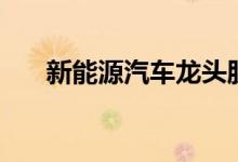 新能源汽车龙头股上市公司有哪些（）