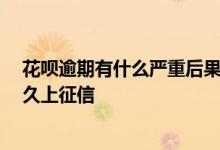 花呗逾期有什么严重后果 花呗逾期有什么影响 花呗逾期多久上征信