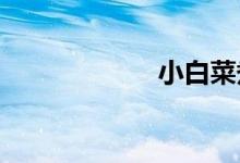  小白菜煮几分钟熟 