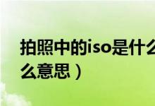 拍照中的iso是什么意思（拍照参数ISO是什么意思）