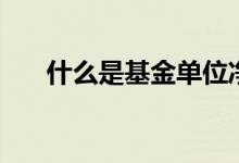 什么是基金单位净值（什么是基金会）