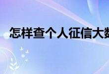 怎样查个人征信大数据（怎样查个人征信）