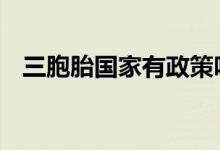 三胞胎国家有政策吗 三胞胎国家有补助吗