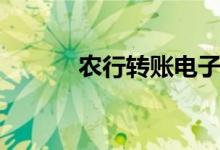 农行转账电子回单（农行转账）