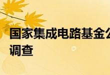 国家集成电路基金公司总经理丁文武接受审查调查