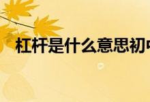 杠杆是什么意思初中物理 杠杆是什么意思