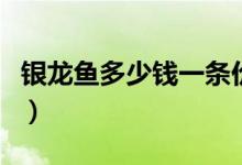 银龙鱼多少钱一条价格表（银龙鱼多少钱一条）