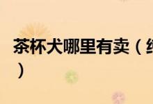 茶杯犬哪里有卖（纯种茶杯犬一只大概多少钱）