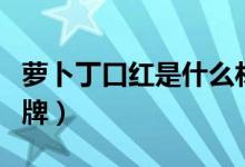 萝卜丁口红是什么材质（萝卜丁口红是什么品牌）