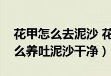 花甲怎么去泥沙 花甲快速吐沙方法（花甲怎么养吐泥沙干净）