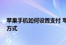 苹果手机如何设置支付 苹果手机支付设置在哪 怎么改支付方式