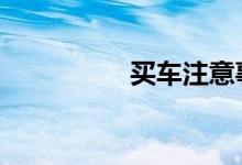 买车注意事项有哪几个 