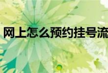 网上怎么预约挂号流程（网上怎么预约挂号）