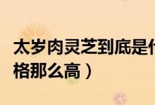 太岁肉灵芝到底是什么（太岁肉灵芝为什么价格那么高）