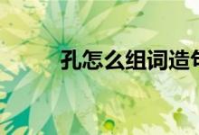 孔怎么组词造句子（孔怎么组词）