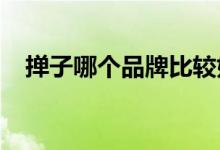  掸子哪个品牌比较好用 这些都是不错的选择  