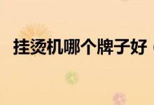 挂烫机哪个牌子好（家用挂烫机品牌推荐）