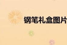 钢笔礼盒图片（钢笔礼物含义）