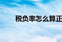 税负率怎么算正常（税负率怎么算）