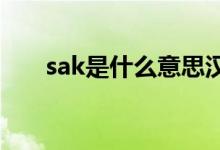 sak是什么意思汉语（SAK是什么币）