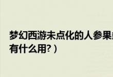 梦幻西游未点化的人参果多少钱（梦幻西游未点化的人参果有什么用?）
