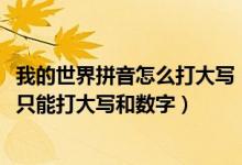 我的世界拼音怎么打大写（为什么我的世界1.8.7不能打拼音只能打大写和数字）