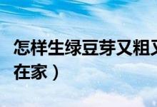 怎样生绿豆芽又粗又壮又无根（怎样生绿豆芽在家）