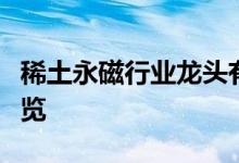 稀土永磁行业龙头有哪些稀土永磁行业股票一览