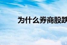 为什么券商股跌 为什么券商股护盘