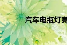 汽车电瓶灯亮红灯是什么原因 