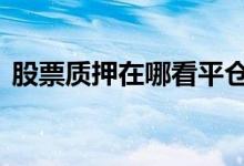 股票质押在哪看平仓线 股票质押在哪里查询