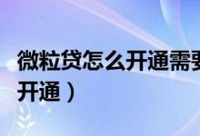 微粒贷怎么开通需要多少信用分（微粒贷怎么开通）
