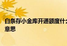 白条存小金库开通额度什么意思 白条存小金库开通额度什么意思