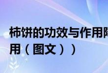柿饼的功效与作用降血压吗（柿饼的功效与作用（图文））