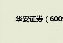 华安证券（600909）十大流通股东