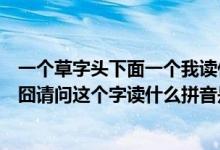 一个草字头下面一个我读什么字（上面一个草字头下面一个囧请问这个字读什么拼音是）
