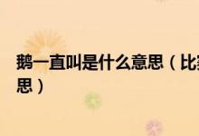 鹅一直叫是什么意思（比赛时球迷喊的“鹅鹅鹅”是什么意思）