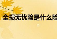 全损无忧险是什么险 全损无忧险是什么险呢